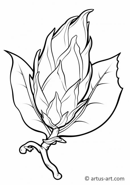 Раскраска драконий фрукт с листьями